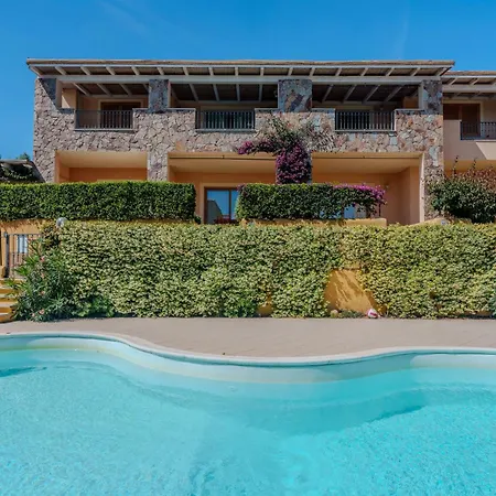 Avocado * מורתה מריה