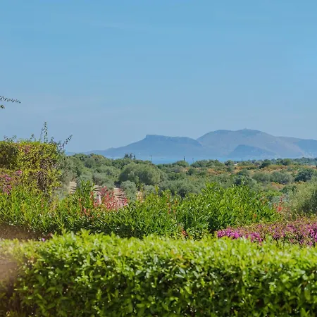 Avocado Apartment Murta Maria